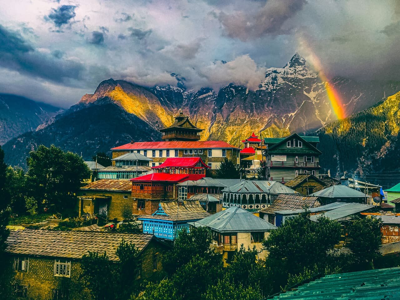 Shimla Manali Tour 5N/6D Package - Image 8